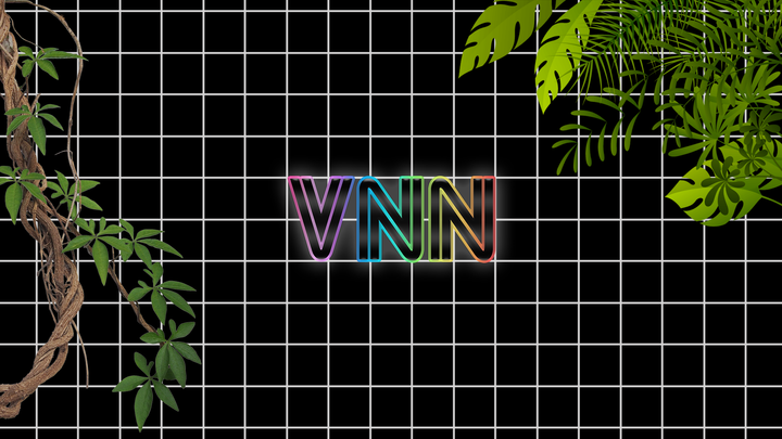 Become a Member of the Vaporwave News Network!